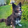 Shaylin sucht eine Familie
