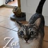 Mia und Zoe in Wiesbaden (ALO)