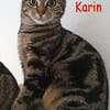 Simba und Karin