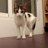 Sweetheart Kiki bei München (ALM)