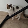 Sweetheart Kiki bei München (ALM)