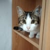Sweetheart Kiki bei München (ALM)