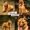 sportlicher Blondi wartet PLZ 39649