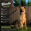 sportlicher Blondi wartet PLZ 39649