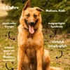 sportlicher Blondi wartet PLZ 39649
