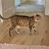 Seniorin IDA sucht Zuhause