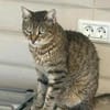 Seniorin IDA sucht Zuhause