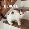 BN et BEAUTE A réserver  Adoption double ou séparé