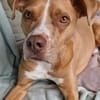 MURPHY - eine imposante Erscheinung!