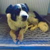 Liebe LUNA wartet in PLZ 76707 auf Besuch