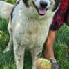 Liebe LUNA wartet in PLZ 76707 auf Besuch