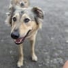 Petra  sensibel, neugierig und treu