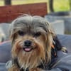 Esha ist neugierig und freundlich