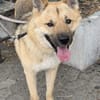 Nikita