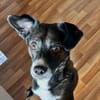 Cooler Partner in Crime- Cosmo