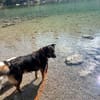 Luna sucht ein neues Zuhause