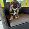 Fritzi  die Entdeckerin mit dem neugierigen Blick