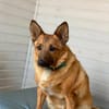 Valentina bescheiden und lieb