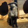 Tiffy ist neugierig, aber unsicher