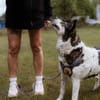 Noa ist bereit für ein neues Leben