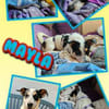 menschenbezogene Mayla auf PS in 92262