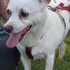 LOLITA sucht ihr Für-Immer-Zuhause