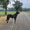 Joschi sucht seine Familie für immer