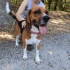 tyson