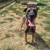 NATSU