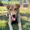 Nando sucht sein Für-immer-Zuhause 🐾