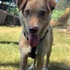 Nando sucht sein Für-immer-Zuhause 🐾