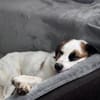 Hiro m ca 4 Jahre