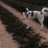 Hiro m ca 4 Jahre