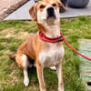 CHARLY - erst 'ne Runde toben, dann 'ne Runde kuscheln