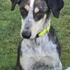 Aiden -schüchtern und freundlich-