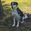 Aiden -schüchtern und freundlich-