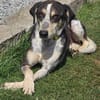 Aiden -schüchtern und freundlich-