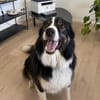 Boey sucht erfahrene, aktive Menschen