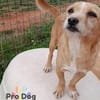 Finja auf Pflegestelle