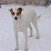 Saschka toller Bursche