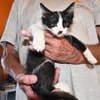 Neugieriger Cris sucht sein Traumzuhause