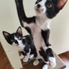 super liebe und anhängliche Paty und Selma
