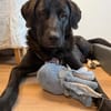 HUGO - aktiv & menschenbezogen
