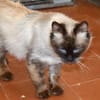 Nehmen Sie Luca bei sich auf?