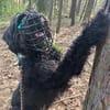 HAYO, Senior - Charakterhund mit großem Herz