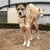Komm n. Herbolzheim um tollen Tim kennenzulernen
