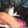 🐱 Inge sucht ihr für immer Zuhause ❤