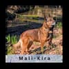 KIRA, Seniorin mit Dienstmarke