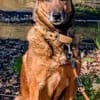 KIRA, Seniorin mit Dienstmarke