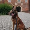 KIRA, Seniorin mit Dienstmarke